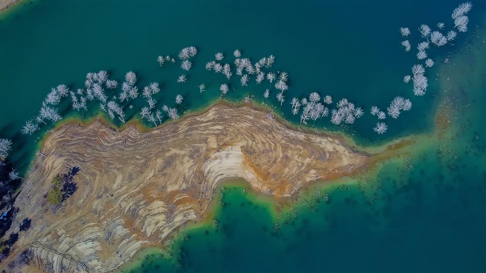 Gürcan KÖLELİ Ölü Ağaçlar.jpg Gürcan KÖLELİ Ölü Ağaçlar.jpg