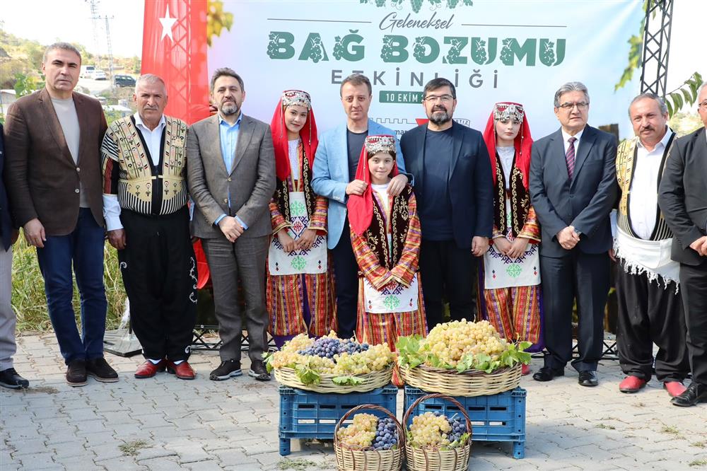 Bağ Bozumu  1 .jpeg